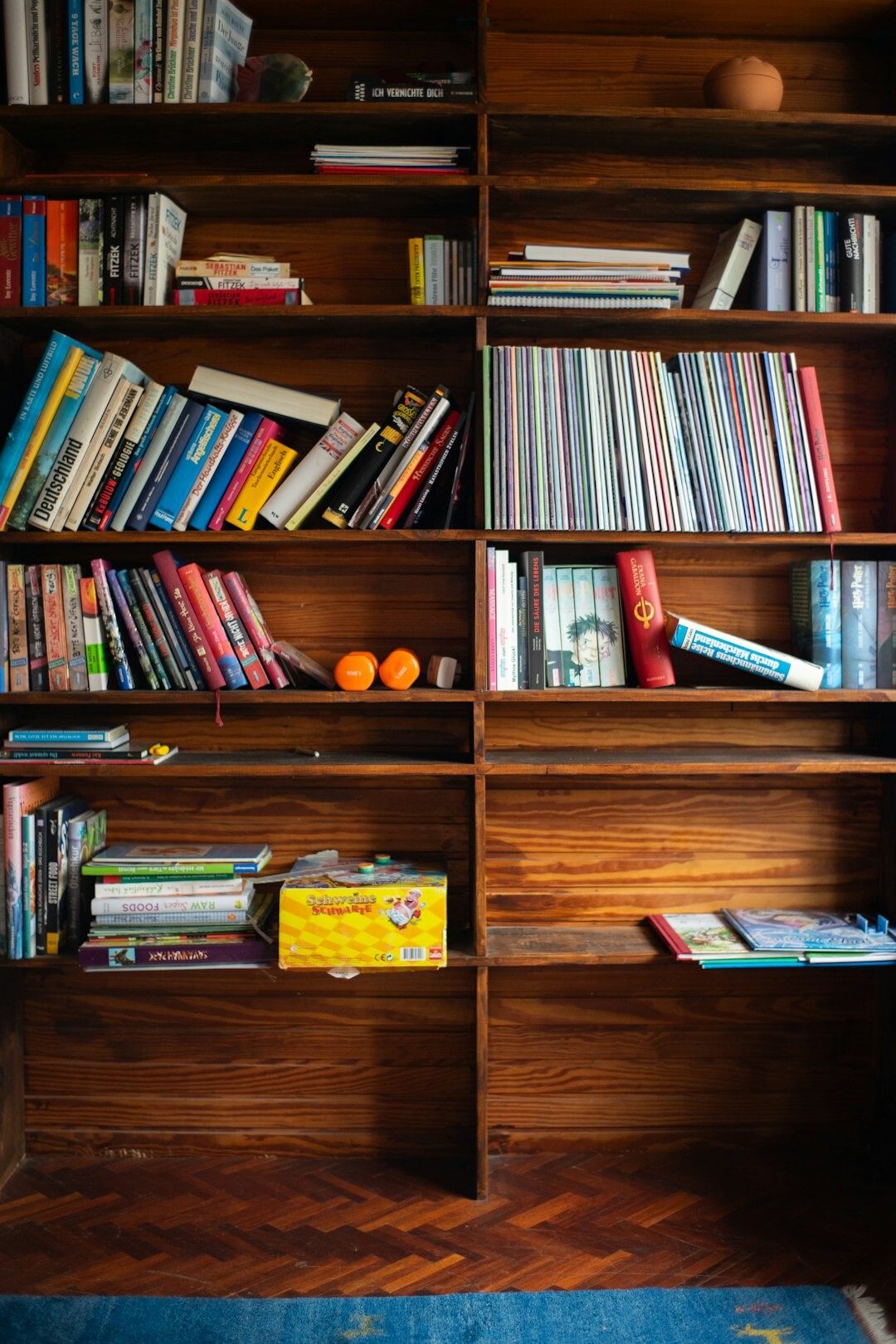 Row of hardcover books on a wooden shelf